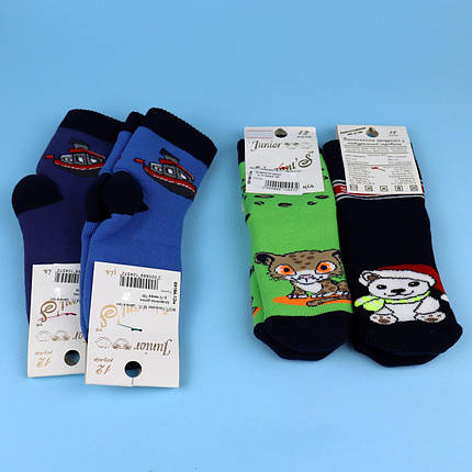 69184-12м Теплі дитячі шкарпетки махра для хлопчика тм Єлегант розмір 12 (1-1,5 року), фото 2