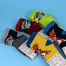 69184-12м Теплі дитячі шкарпетки махра для хлопчика тм Єлегант розмір 12 (1-1,5 року), фото 3