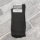 Шкарпетки чоловічі весна/осінь високі спортивні ЖИТОМИР СТИЛЬ 41-44р. чорні 30030331, фото 2