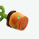 Кактус співаючий і танцювальний повторюшка з підсвічуванням Іграшковий кактус музичний плюшевий для дітей, фото 4