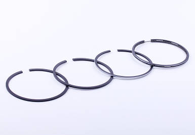 Кільця 100,25 мм ZS/ZH1100