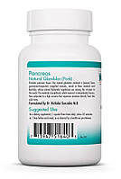 Підшлункова залоза натуральна залозиста тканина (свинина) Панкреас (Pancreas) Nutricology 60 капс, фото 3