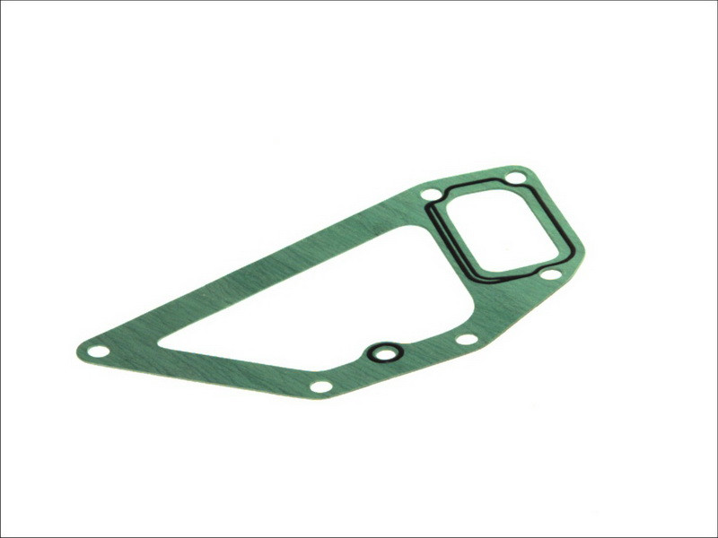 Прокладка помпи DAF 95XF, XF95, 85CF 5.41048 DT Spare parts