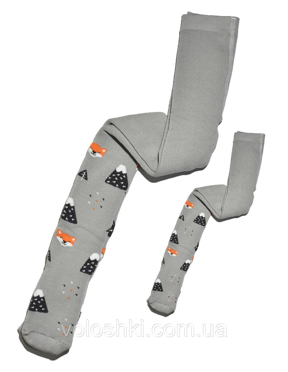 Колготи дитячі махрові для хлопчика та дівчинки, з малюнком Лисички в лісі, ВерсаліК, фото 1