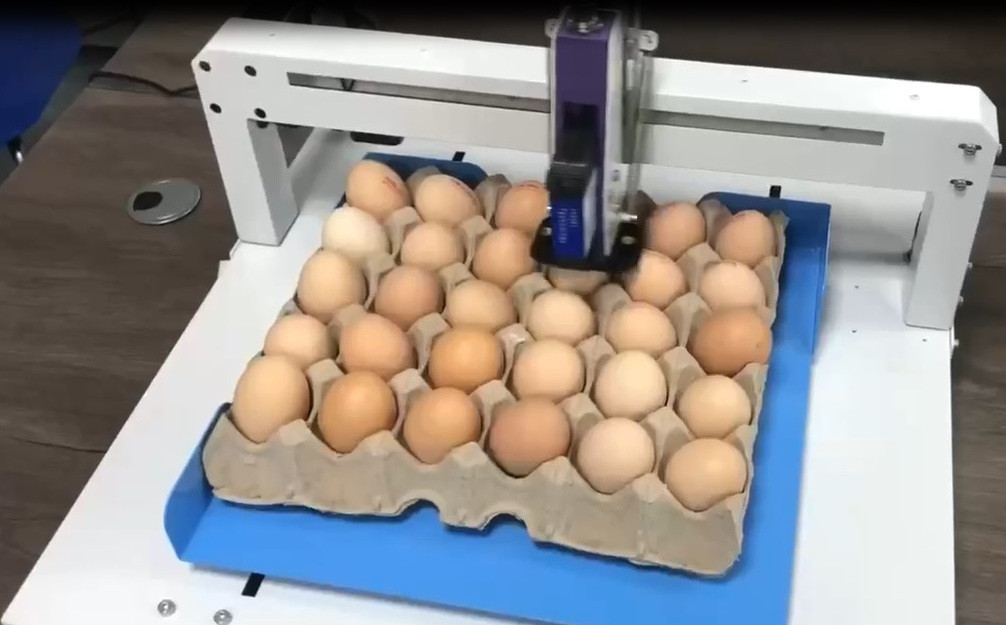 Система маркування яєць КХ110, фото 1