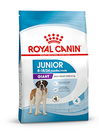 Royal Canin (Роял Канин) Giant Junior сухой корм для щенков гигантских пород от 8 до 18/24 мес. 15 кг