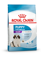 Royal Canin (Роял Канин) Giant Puppy сухой корм для щенков гигантских пород от 2 до 8 мес. 1 кг