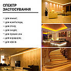 Світлодіодна стрічка RISHANG 120-2835-12V-IP20 8,6 W 818 Lm 3000 K 5 м (RN08C0TA-B-WW), фото 8