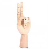 Дерев'яна рука манекен RESTEQ 25см модель для тримання товару, для малювання (жіноча), фото 4