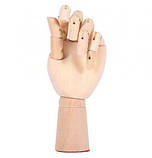 Дерев'яна рука манекен RESTEQ 25см модель для тримання товару, для малювання (жіноча), фото 2