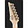 Ibanez RG421MSP PSP, фото 7