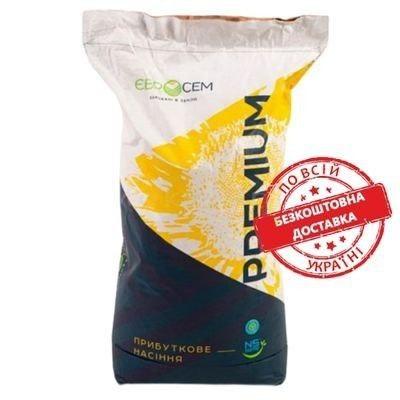 Насіння соняшника АВАЛОН НС Х 6046 (Преміум), фото 1