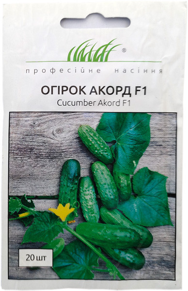 Насіння огірка Акорд F1 20 шт. бджолозапильні Bejo Zaden, фото 1