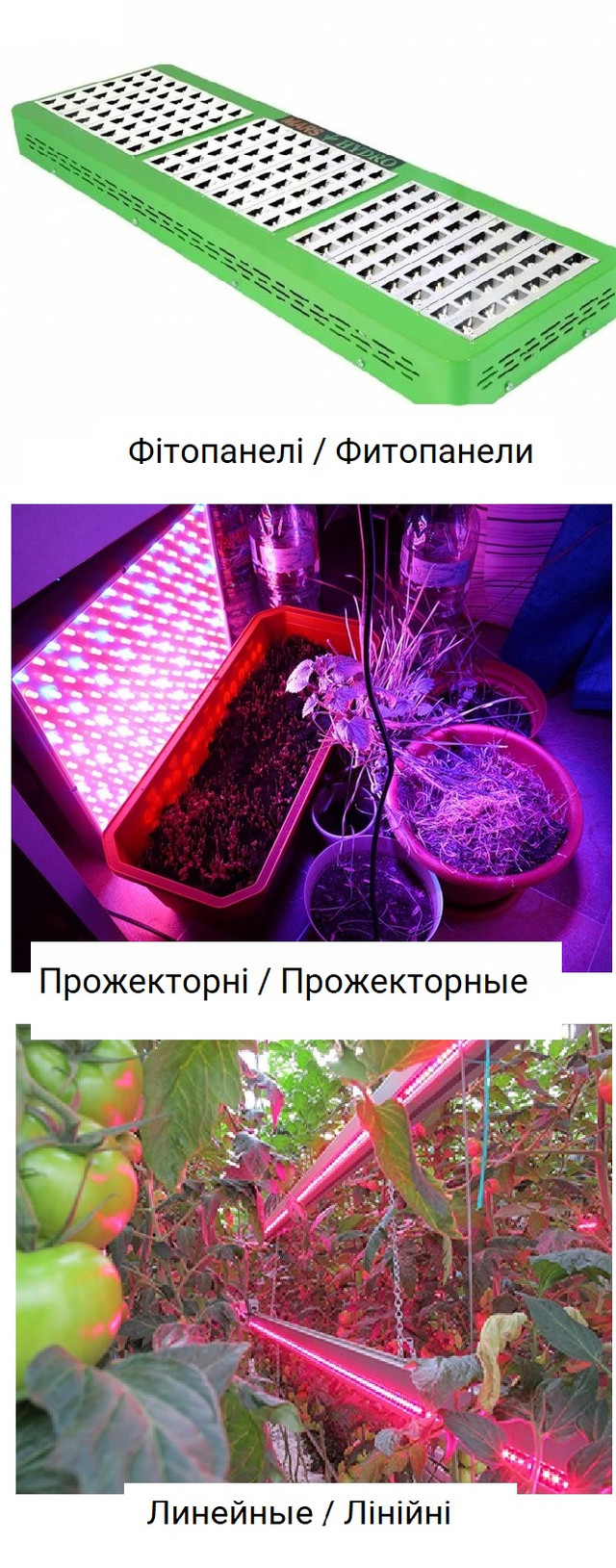 vidu fitolampu-dlya-podsvetki fitolampu-dlya-podsvetki