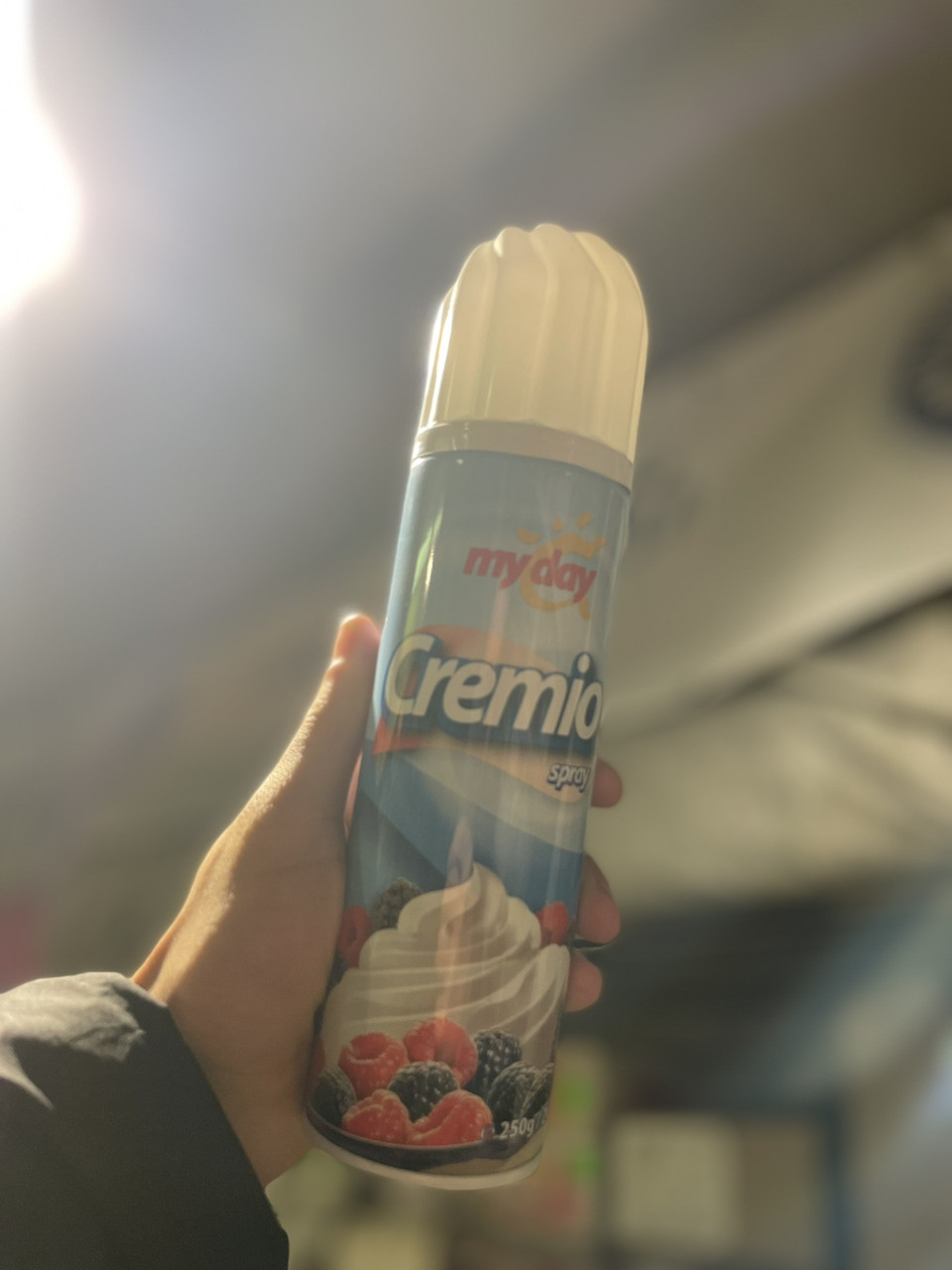 Сливки аэрозольные взбитые Cremio 20% My Day: продажа, цена в Виннице ...