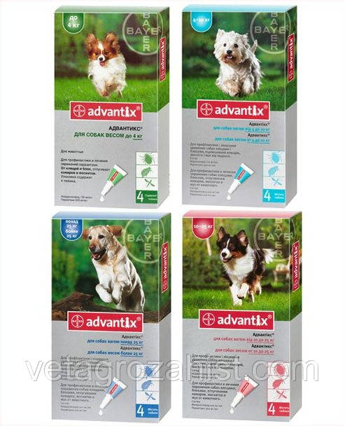 Капли Адвантикс для собак от 25 до 40 кг, 4 мл (1 пипетка) Bayer - фото 1 - id-p280390603