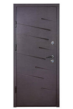 Вхідні двері Метеор