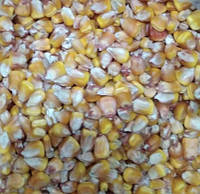 Зерно кукурузы , 1литр, 850 гр.