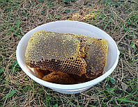 Мед натуральный Бортевой в сотах, 400 г