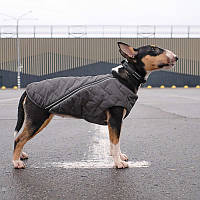 Жилет для собаки E.Vest XS-2 / длина спины: 26-28см, обхват груди: 32-39см / серый / Pet Fashion
