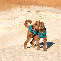 Жилет для собаки E.Vest M-2 / длина спины: 32-34см, обхват груди: 55-65см / морская волна / Pet Fashion