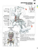 Сворачивание туловища на тренажере - постер