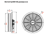 Осьовий вентилятор Bahcivan BSM 550 2 -К, фото 4