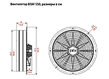 Bahcivan BSM 450 осьовий вентилятор, фото 4