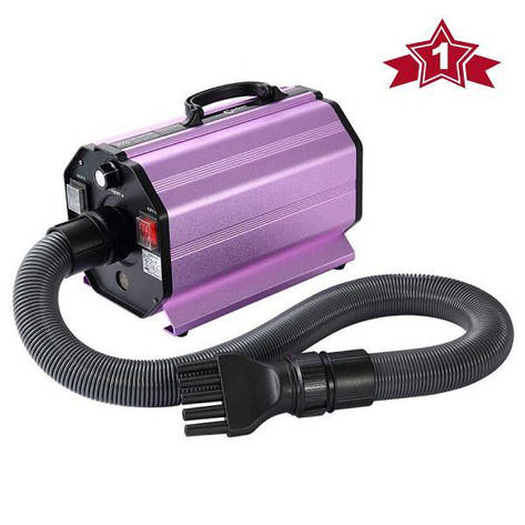 Фен для тварин стаціонарний Groomer Codos CP-200, 2400W (115 6001), фото 1