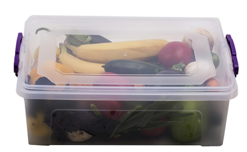 Контейнер для зберігання продуктів з затискачами 21л, фото 1
