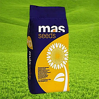 Семена подсолнечника SULFONOR (MAS Seeds)
