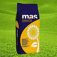 Семена подсолнечника MAS 810.B (MAS Seeds)