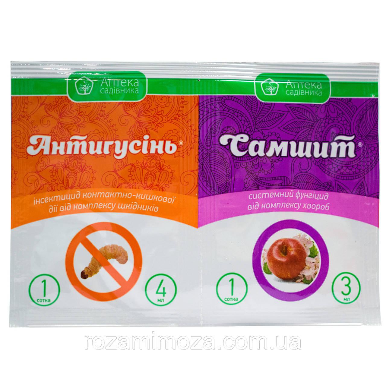 Антигусінь 4 мл плюс Самшит 3 мл