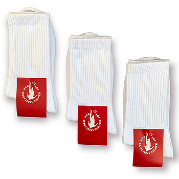 Шкарпетки жіночі демісезонні бавовна високі Training Sport, розмір 36-39, білі, 08862