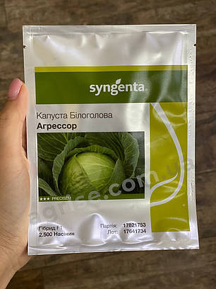 Насіння білокачанної капусти Агресор F1 (Agressor F1) Syngenta 2500, фото 1