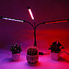 Гнучка фітолампа для рослин (3 гілки, 30 Вт) L3, від USB / Гнучкий ультрафіолетовий світильник для квітів, фото 2
