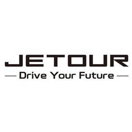 Килимки в салон Jetour