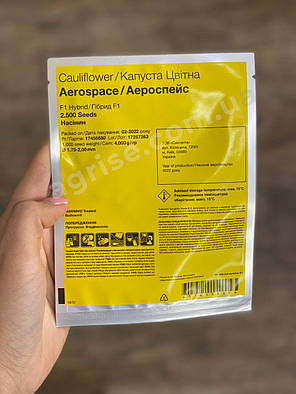 Насіння цвітної капусти Аероспейс F1 (Aerospace F1) Syngenta 2500, фото 3