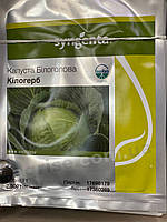 Семена белокочанной капусты Килогерб F1 (Kiloherb F1) Syngenta 2500