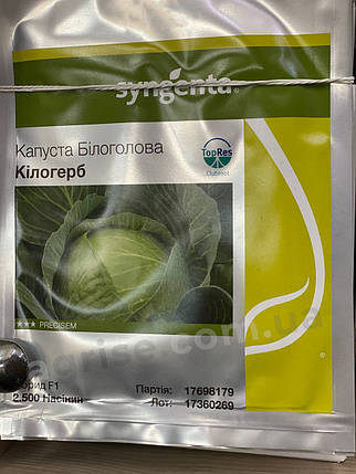 Насіння білокачанної капусти Кілогерб F1 (Kiloherb F1) Syngenta 2500, фото 1