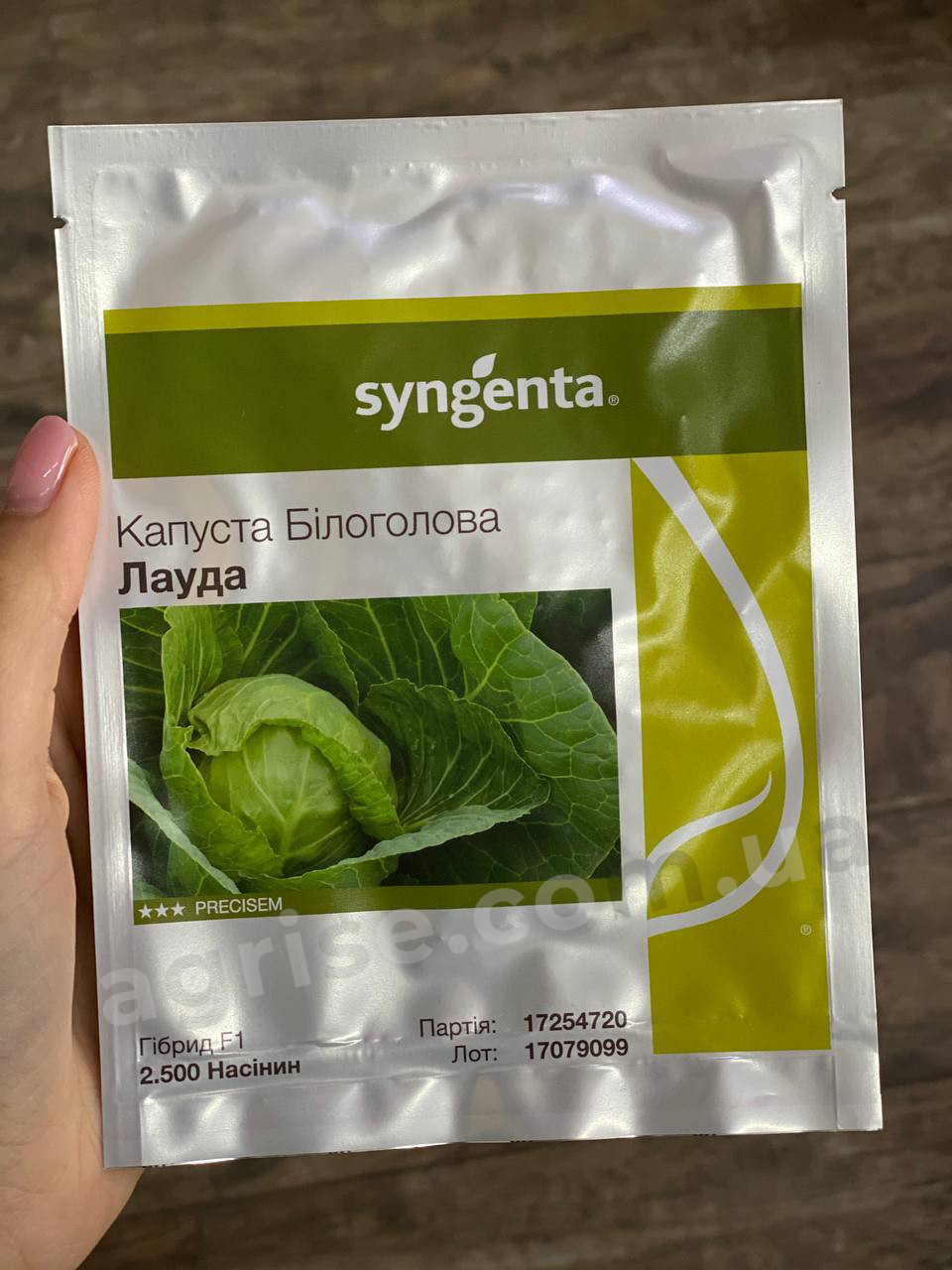Насіння білокачанної капусти Лауда F1 (Lauda F1) Syngenta 2500