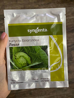 Насіння білокачанної капусти Лауда F1 (Lauda F1) Syngenta 2500, фото 1