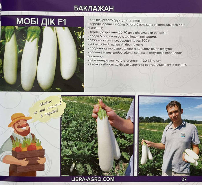 Қыздық секс эротикасын бұзу Ресейдің секс қыздары