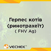 Експрес-тест на вірус герпесу котів (ринотрахеїт), FHV Ag, VIFH-502