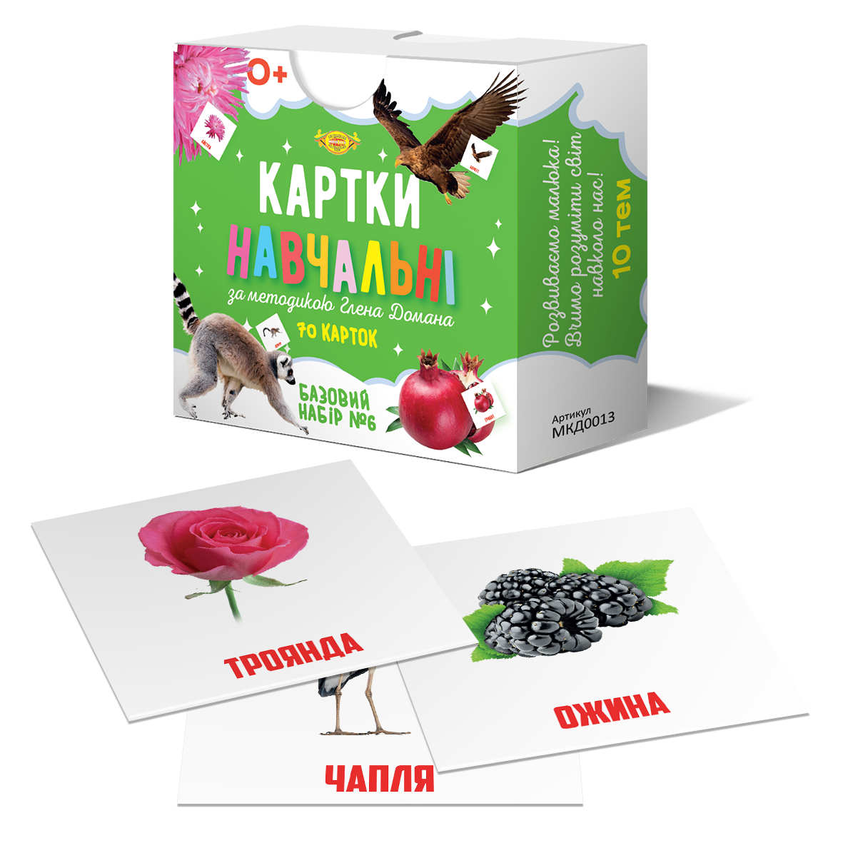 Картки Глена Домана. Базовий набір No6. 70 шт., 10 тем (Укр) (МКД0013)