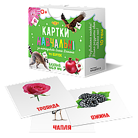 Карточки Гленна Домана. Базовый набор №6. 70 шт., 10 тем (Укр) (МКД0013)