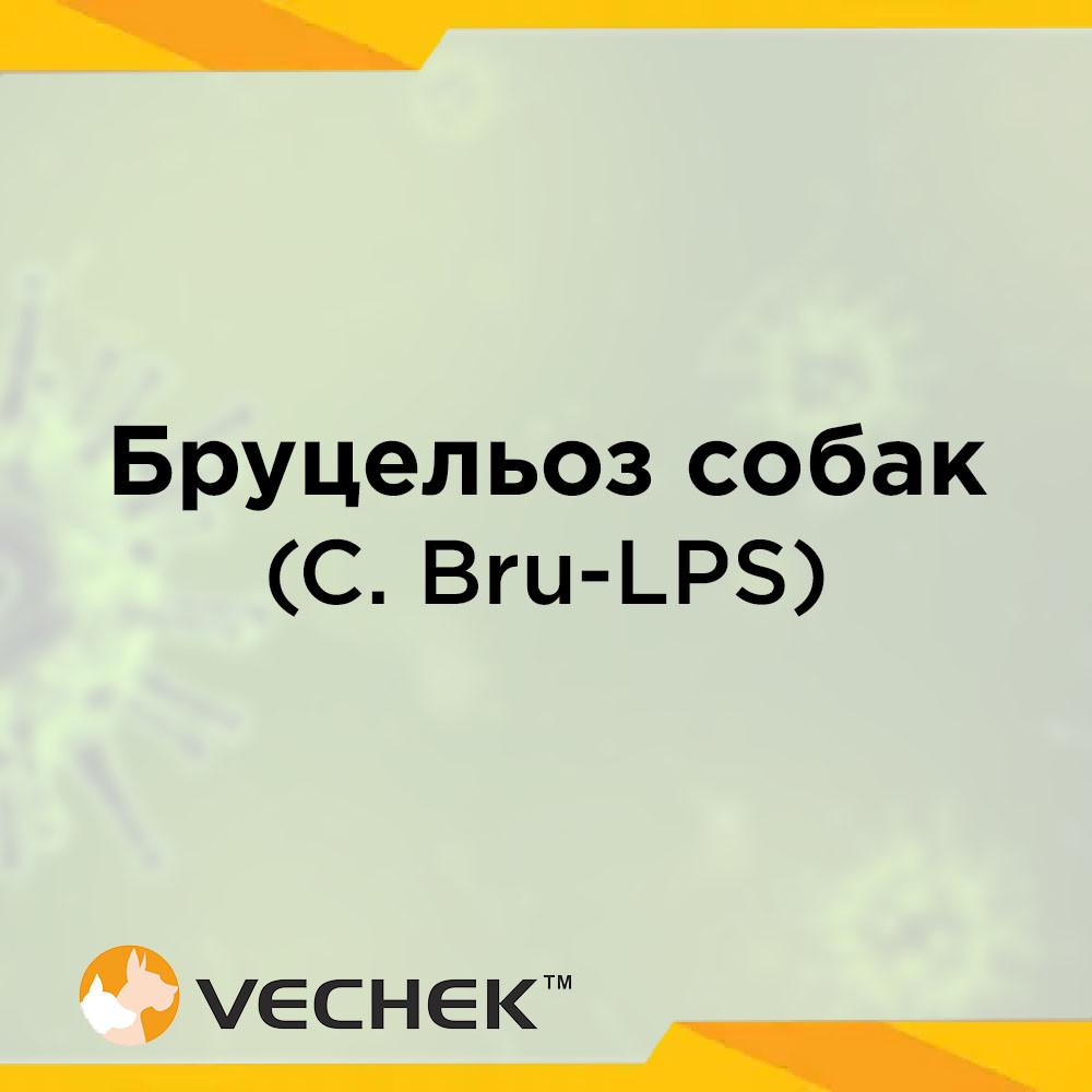 Експрес-тест для виявлення бруцельозу собак (C. Bru-LPS Ab)