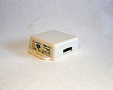 Сумковий електронний вимикач АВФ-250, фото 2