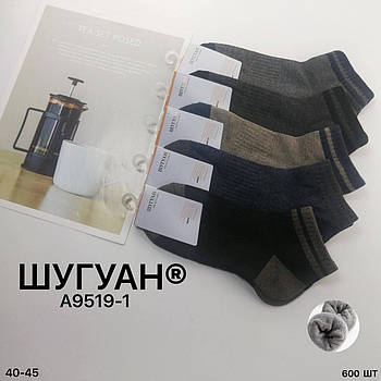 Шкарпетки чоловічі махрова стопа бавовна Шугуан, розмір 40-45, асорті, 9519-1