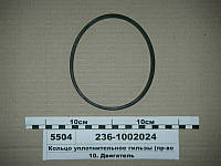 Уплотнительное кольцо 236-1002024А